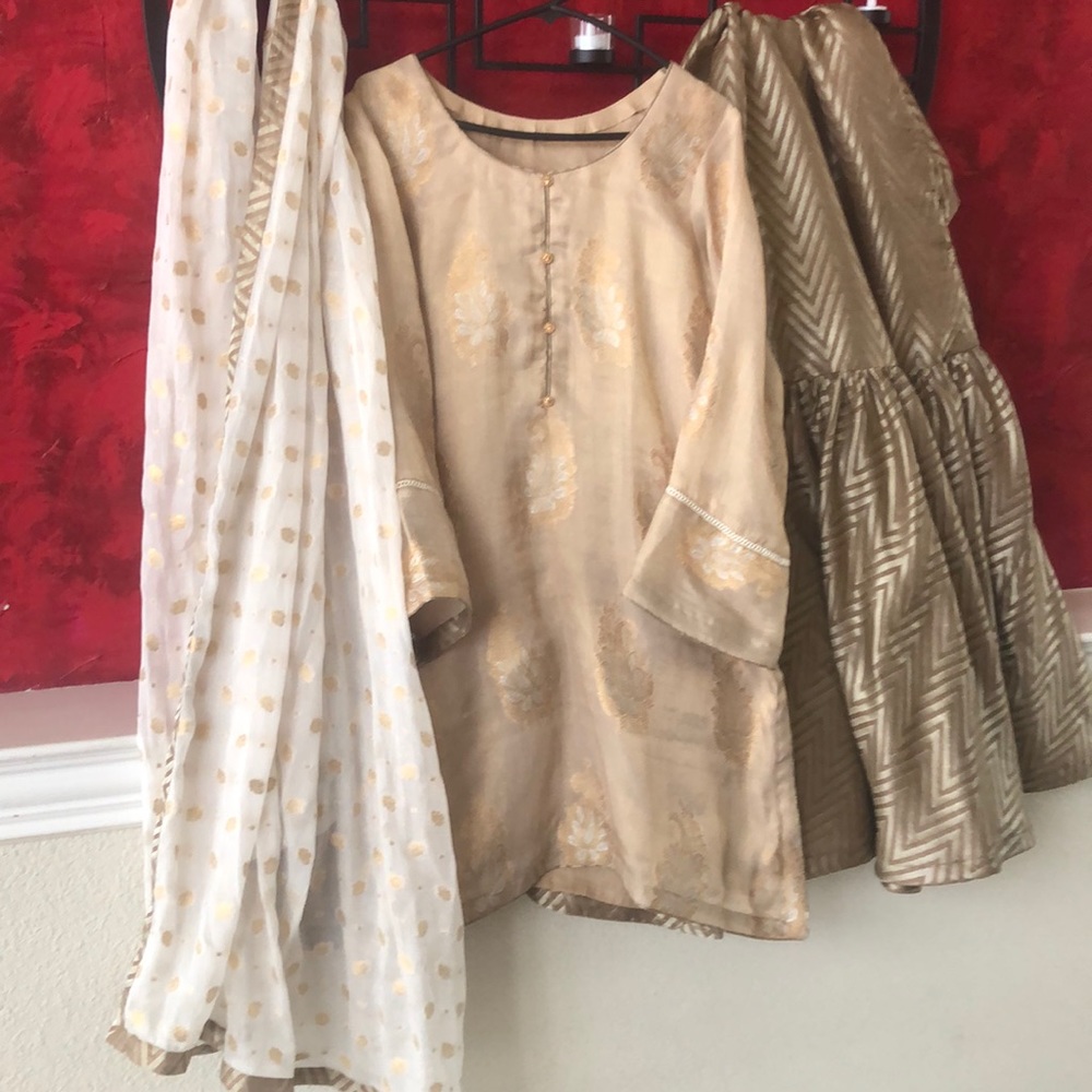 Beautiful jamawaar gharara shirt pure chiffon Dupp